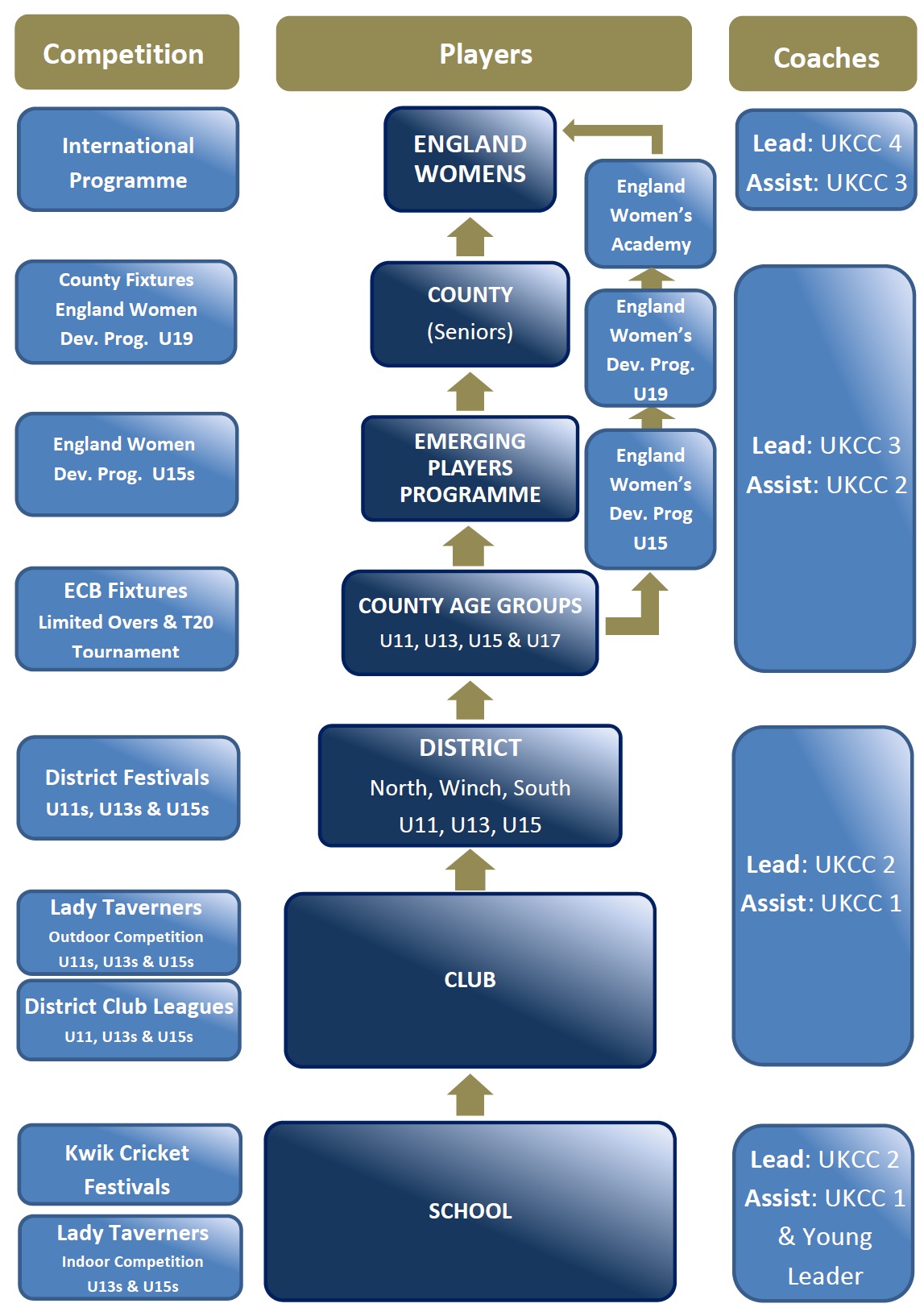 Women_Girls_Pathway_.jpg