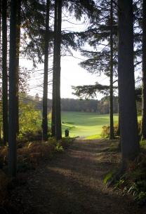Golf-Course-1