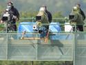 Hampshire's Televised Matches in 2013 Confirmed