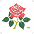 Hampshire Cricket